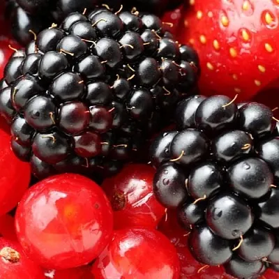 Ежевика  Ежевика в Магнитогорске