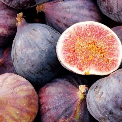 Инжир МУАССОН в Магнитогорске