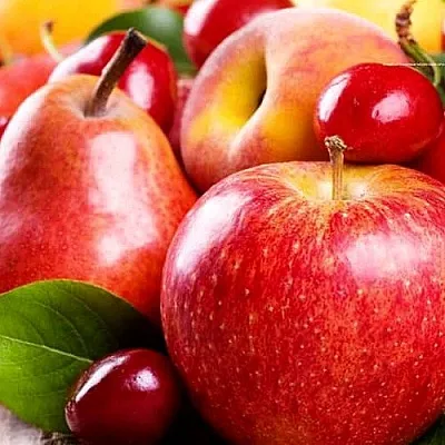 Плодовые деревья  Плодовые деревья в Магнитогорске