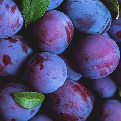 Слива  Слива в Магнитогорске