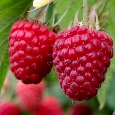 Средняя в Магнитогорске